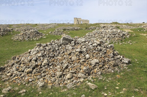 Building ruins of Acinipo Roman archaeological site, Ronda la Vieja, Cadiz province, Spain, Europe