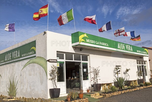 Aloe vera factory shop, Oliva, Fuerteventura, Canary Islands, Spain, Europe
