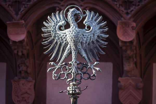 Historical city coat of arms in front of the Römer, town hall of Frankfurt am Main, Hesse, Germany,