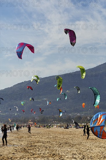 Coastline, countless kitesurfers, hotspot for surfers, Tarifa Beach, Tarifa, Cadiz, Costa de la