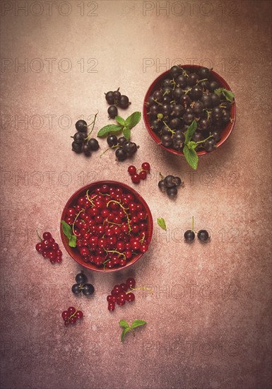 Berries, fresh, red currant, and black gooseberry, in bowls, top view, no people