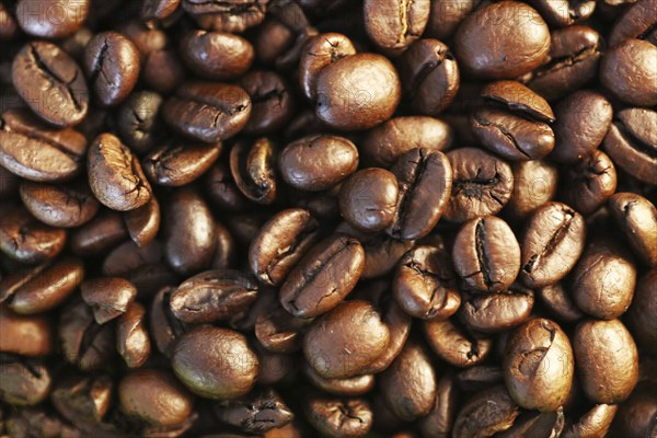 Close up view coffee beans