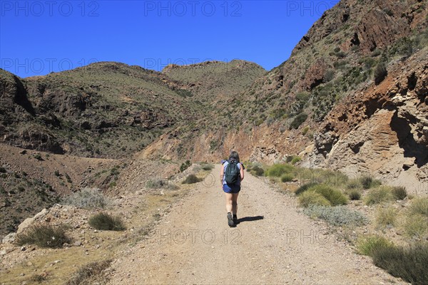 Woman walking along coast path in Cabo de Gata national park, near San José, Almeria, Spain, Europe