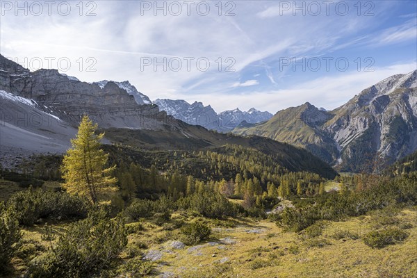 Mountain panorama with steep rocky peaks, yellow-coloured larches in autumn, view of Laliderspitze,