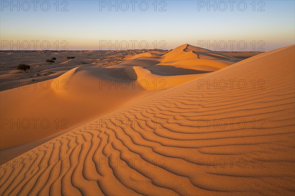 Sand dunes in the desert, near Duqm, Oman, Asia