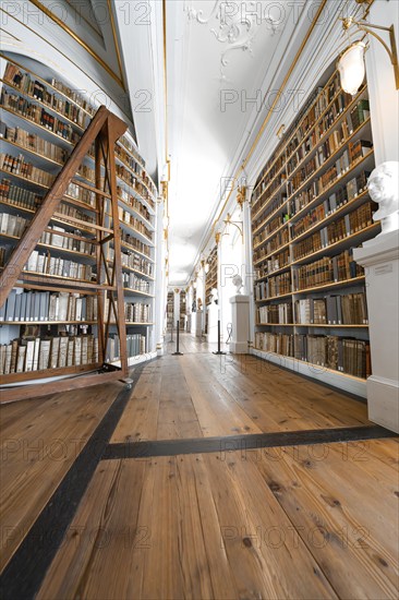 Long corridor with high bookshelves and wooden beams, creating a historical atmosphere, Weimar,