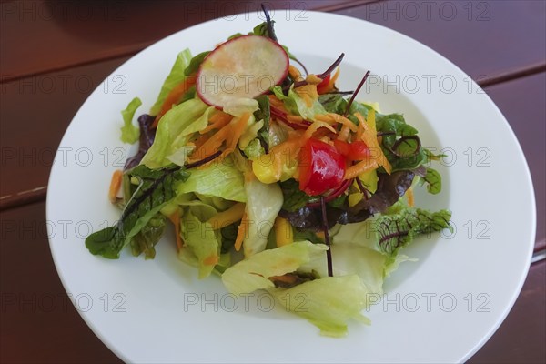 Swabian cuisine, small salad plate, mixed salad arranged on a plate, sorrel, iceberg lettuce,