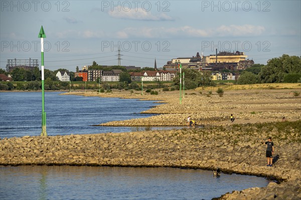 Low water on the Rhine at Duisburg-Homberg, view of Duisburg-Laar, houses on Deichstraße, gasometer