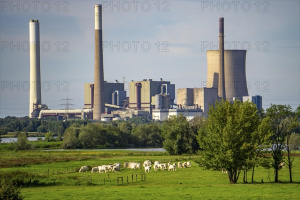 The Voerde coal-fired power plant, which has been decommissioned since 2017, Rhine meadows,