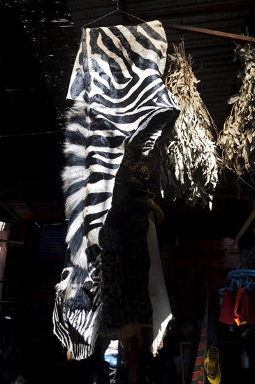 Zebra skin in the medina, souk, market, trade, animal skin, hunter, hunting, law, souvenir, offer,