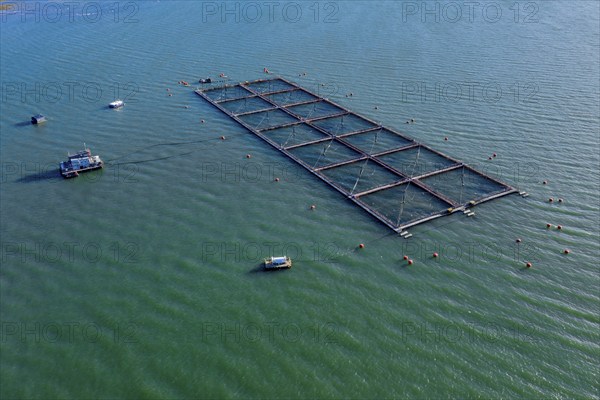Aerial view of salmon farm in the Reloncavi fjord southeast of Puerto Montt, Chile, South America