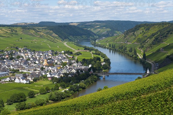 A peaceful landscape with a village by the river, surrounded by vineyards and green hills under a