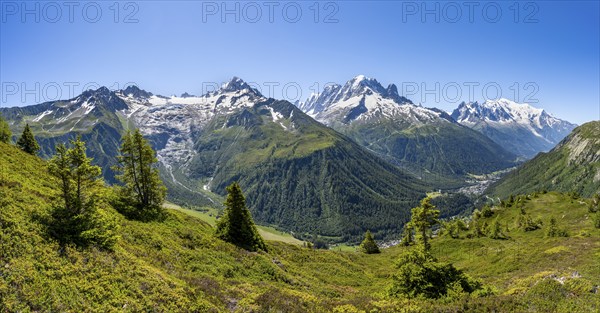 Mountain panorama with glaciated mountain peaks, Aiguille de Chardonnet with Glacier du Tour,