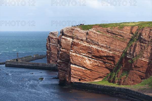 Red coloured sandstone, steep cliff coast of the offshore island of Heligoland, Lange Anna, home of