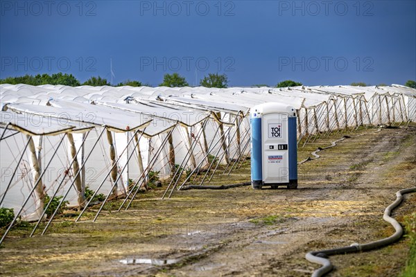 Agriculture, large areas with foil tunnel, for the cultivation of strawberries, south of Lövenich,