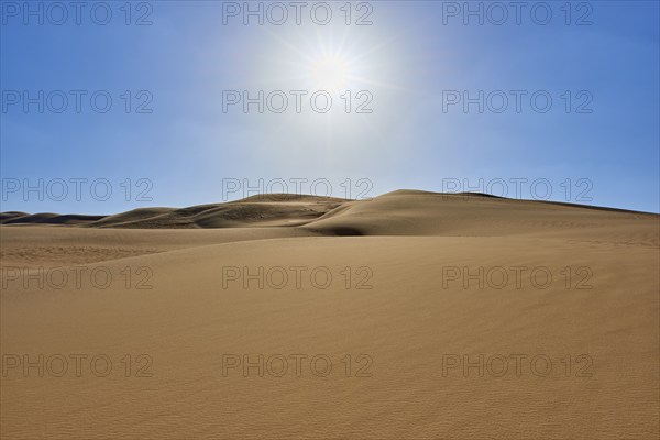 Sunny desert landscape with sand dunes under a clear blue sky, Matruh, Great Sand Sea, Libyan