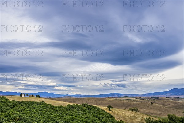 Landscape near San Quirico d'Orcia, Tuscany, Italy, Europe