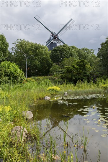 Pond with water lilies, historic windmill, park at the mill, Wyk, Föhr, North Sea island, North