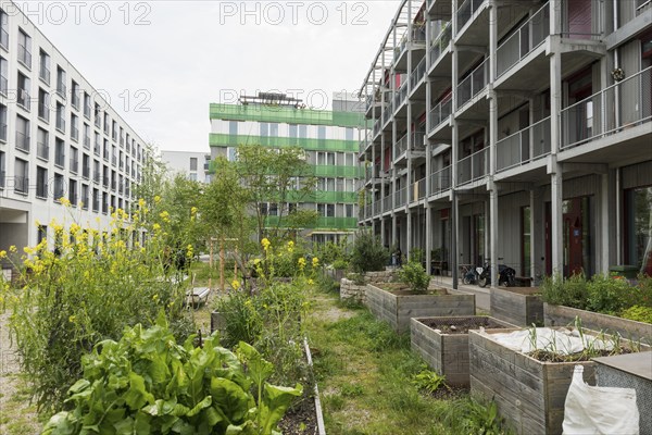 Modern architecture, co-operative, housing co-operative, Erlenmatt, Basel, Canton of Basel-Stadt,