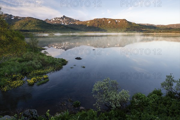 Landscape in the Lofoten Islands. Lake Lilandsvatnet, mountains behind. Yellow blooming marsh