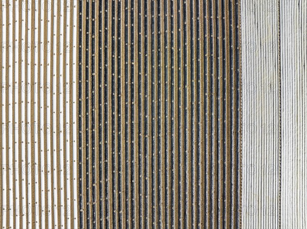 Aerial photograph, top-down view of an asparagus field covered with plastic film, in the Moosfeld