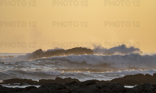 Evening mood, Marino Ballena National Park, coast with waves, South Pacific Ocean, Puntarenas