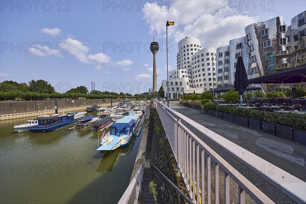 Marina, Rheinturm television tower and building by architect Frank O. Gehry in Düsseldorf, state