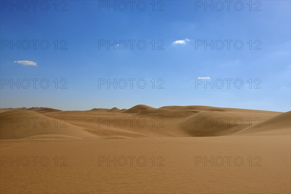 Endless sand dunes under a clear blue sky with few clouds, Matruh, Great Sand Sea, Libyan Desert,