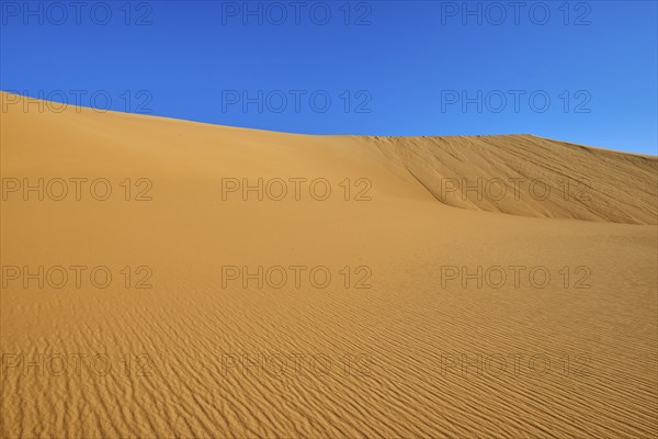 Wide sand dunes under a blue sky in the desert, Matruh, Great Sand Sea, Libyan Desert, Sahara,