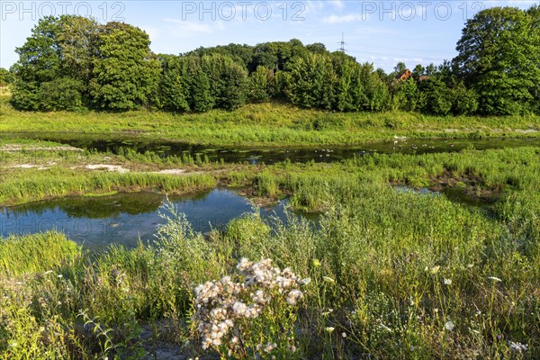 Emscherland, a new nature and water adventure park on the renaturalised Emscher, at the water