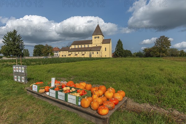 Oberzell, Reichenau Island, St. George's Parish Church, UNESCO World Heritage Site, pumpkin sale,