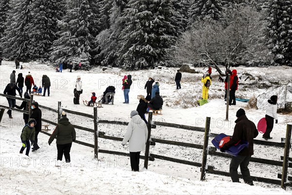 The first snow is here. Despite the coronavirus pandemic, families with children are enjoying