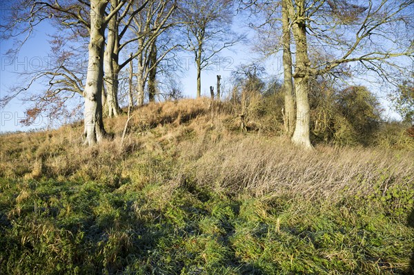 Neolithic long barrow in chalk downland countryside near East Kennett, Wiltshire, England, UK