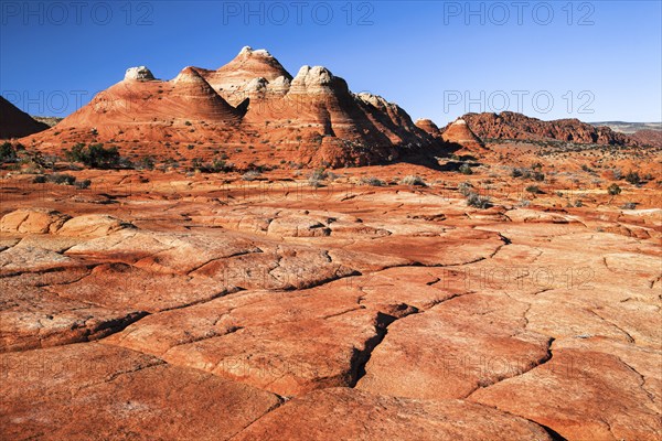 Coyote Buttes North, Sandstone area, Arizona, USA, North America