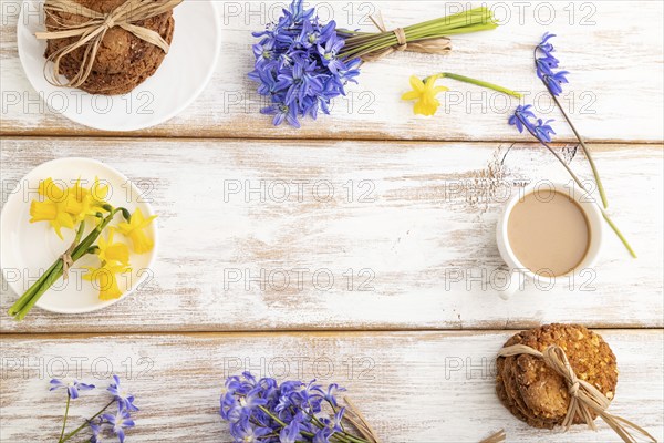 Frame composition with oatmeal cookies, spring snowdrop flowers bluebells, narcissus and cup of