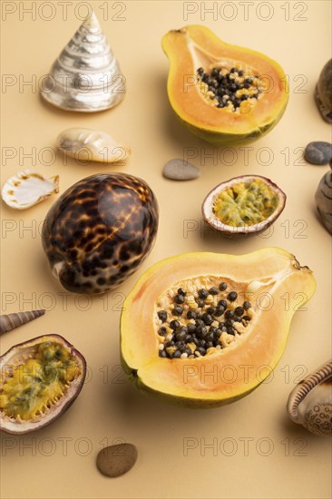 Ripe cut papaya, passion fruit, seashells, pebbles on orange pastel background. Side view, close up