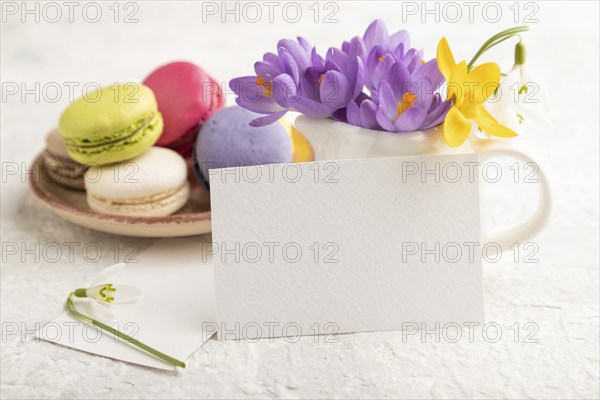 White paper business card mockup with spring snowdrop crocus flowers and multicolored macaroons on