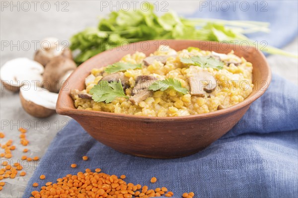 Lentils porridge with champignons and coriander in a clay bowl on a gray concrete background and