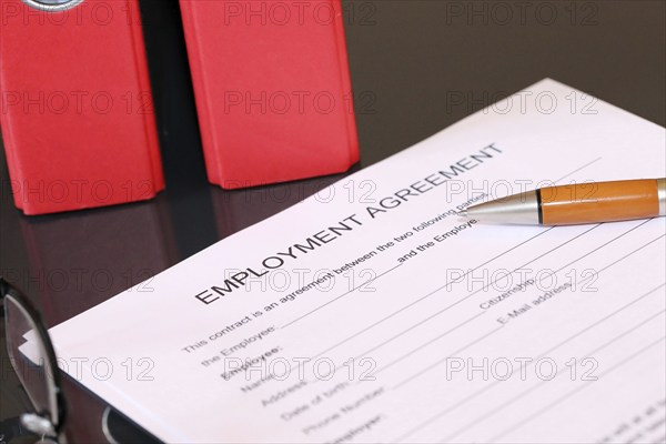 Blank form of an employment contract in English