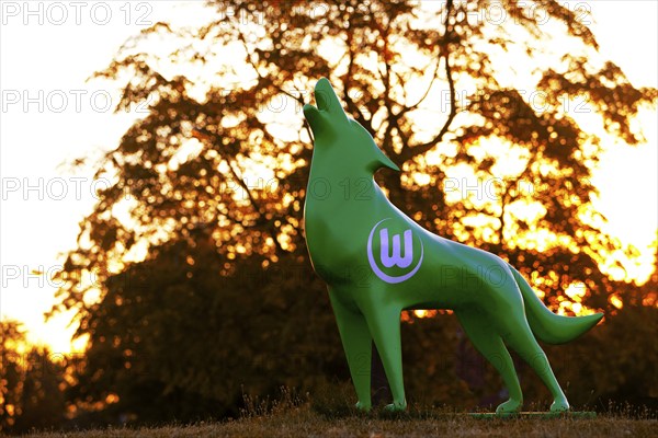 Green wolf sculpture with VfL Wolfsburg logo at sunset, Wolfsburg, Lower Saxony, Germany, Europe