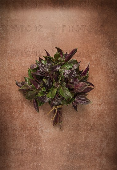 Fresh bouquet of purple basil, top view, on a brown background