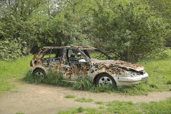 Artwork at the Auto Biennale, 2019, street art, rusted, rusty, renaturalisation, nature, VW, Golf,