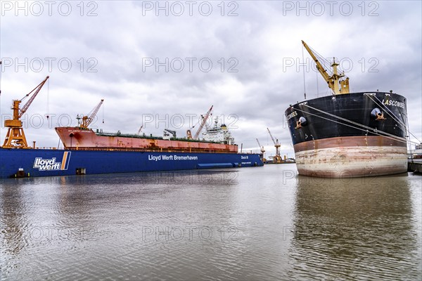 Lloyd Werft, dry dock, freighter Atlantic Journey, shipyard in the overseas harbour of Bremerhaven,