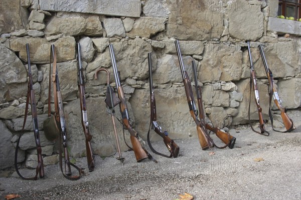 Hunting rifles, so-called shotguns, leaning against a house wall, Lower Austria, Austria, Europe