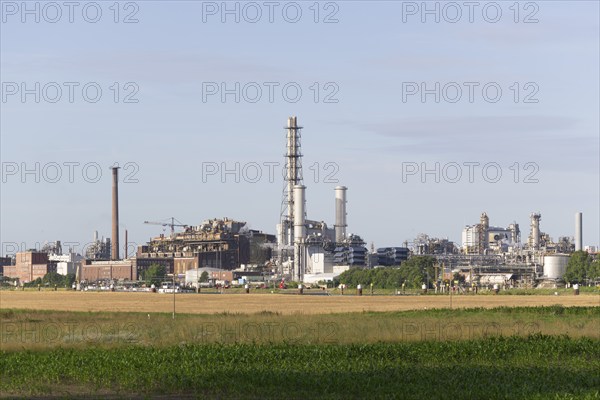 BASF, Lugwigshafen am Rhein, industrial area, Felder, Mannheim, Baden-Württemberg, Germany, Europe