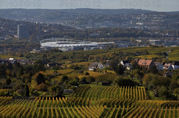 View of MHPArena, MHP Arena, Gaskessel, Stuttgart, over vineyard, vines, grapevines, viticulture,