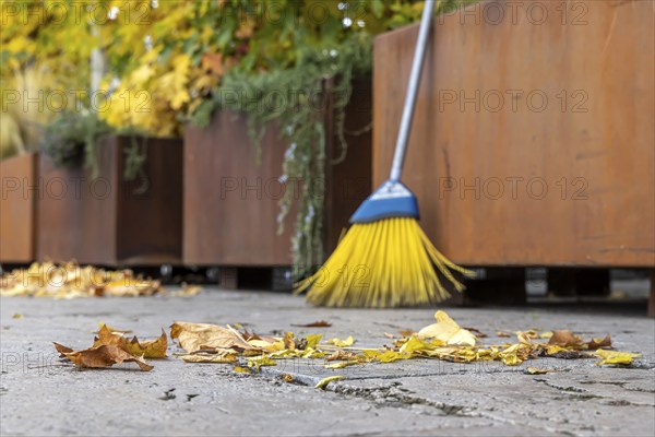 Leaves are falling from the trees. Autumn is the time for brooms to sweep the leaves off the