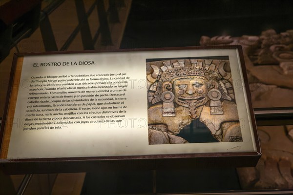 Archaeological site and museum of Templo Mayor, Mexico City, Mexico Monolith relief figure of