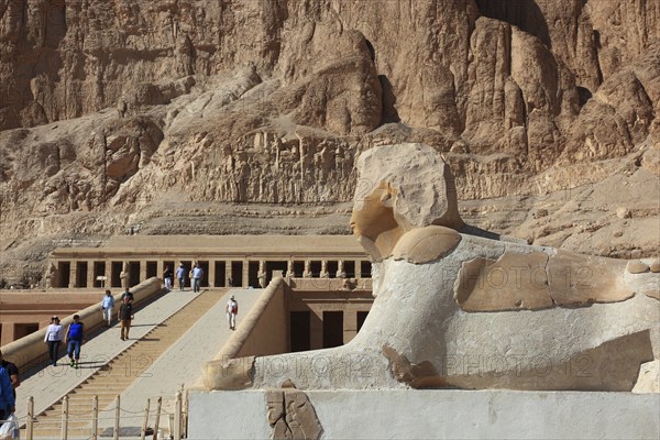 The mortuary temple of the first female pharaoh Hatshepsut, Hatshepsut Temple in Deir el-Bahari on