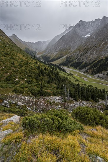 Green mountain valley with river and steep mountain peaks, Chong Kyzyl Suu Valley, Terskey Ala Too,